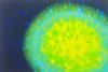 CoronaVirus Series (Pink Dot Series) 9